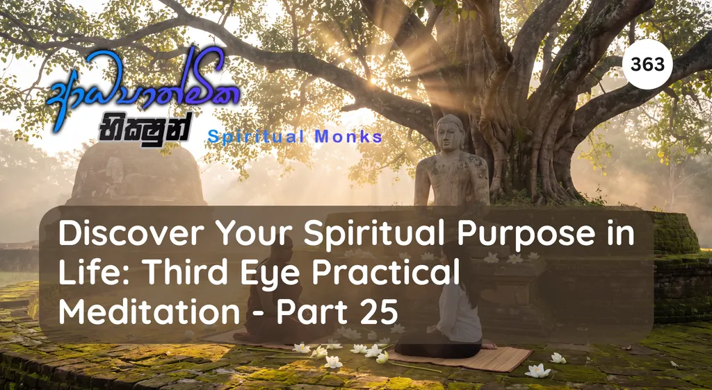 Discover Your Spiritual Purpose in Life: Third Eye – Practical Meditation (Part 25)